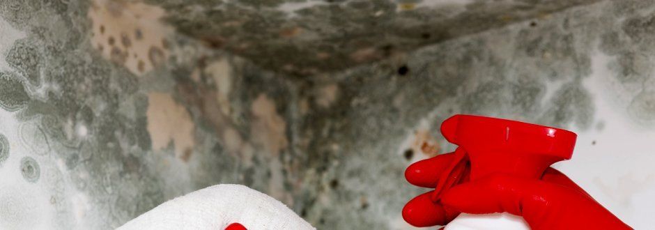 A Person is Cleaning a Wall With a Spray Bottle