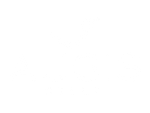 Logo Grupo-Augis-Vivari
