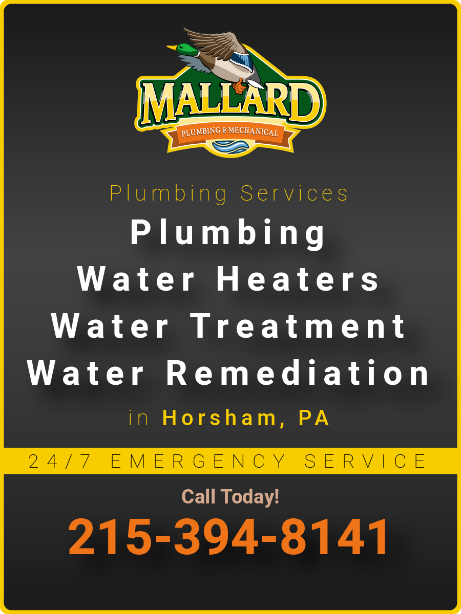 MECHANICAL & PLUMBING, Drain Cleaning