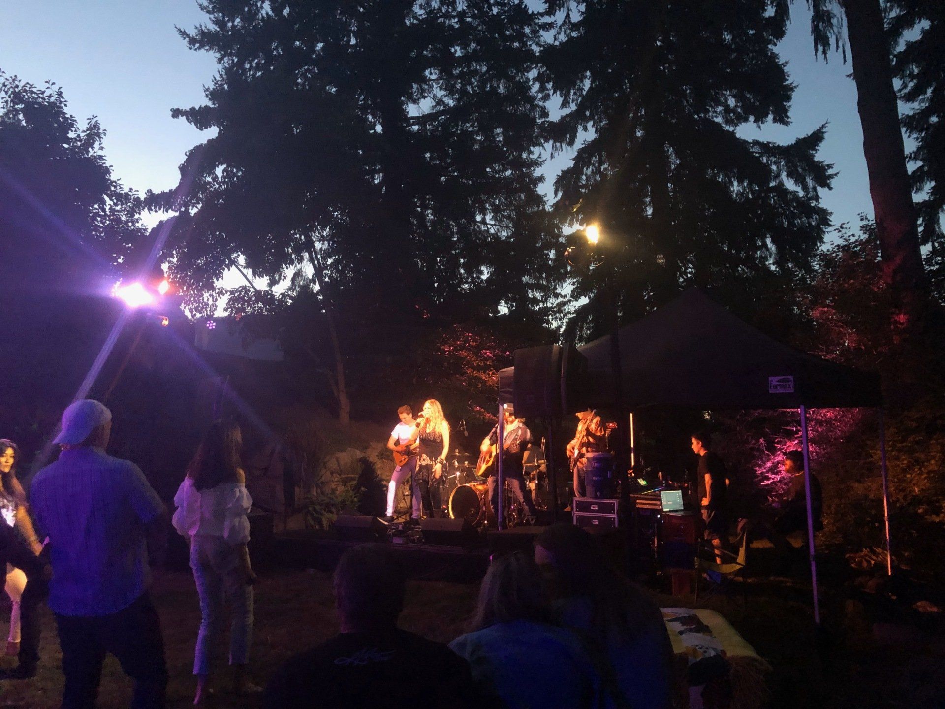 Band performing outdoors at dusk, illuminated stage, audience watching in a wooded area.