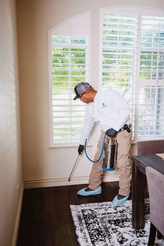 Pest Control Fresno Valley Integrated Pest Control