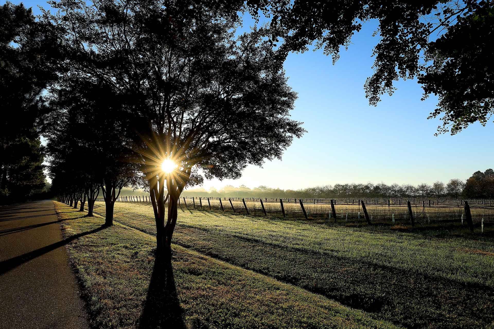 Experience the Winery - The Williamsburg Winery