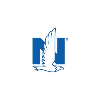 A blue and white logo with an eagle and the letter n.