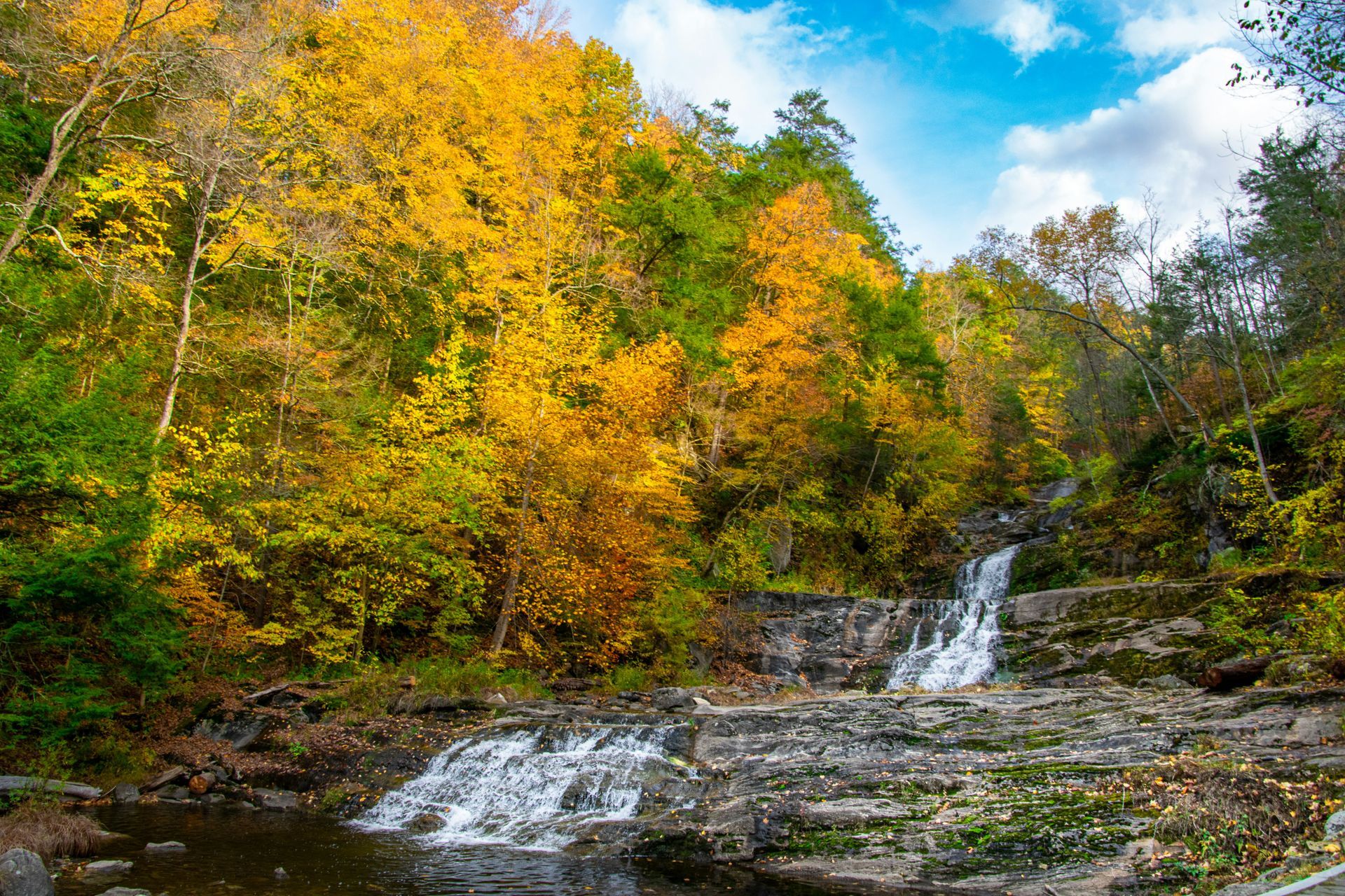 A waterfall in the middle of a forest surrounded by trees with yellow leaves.