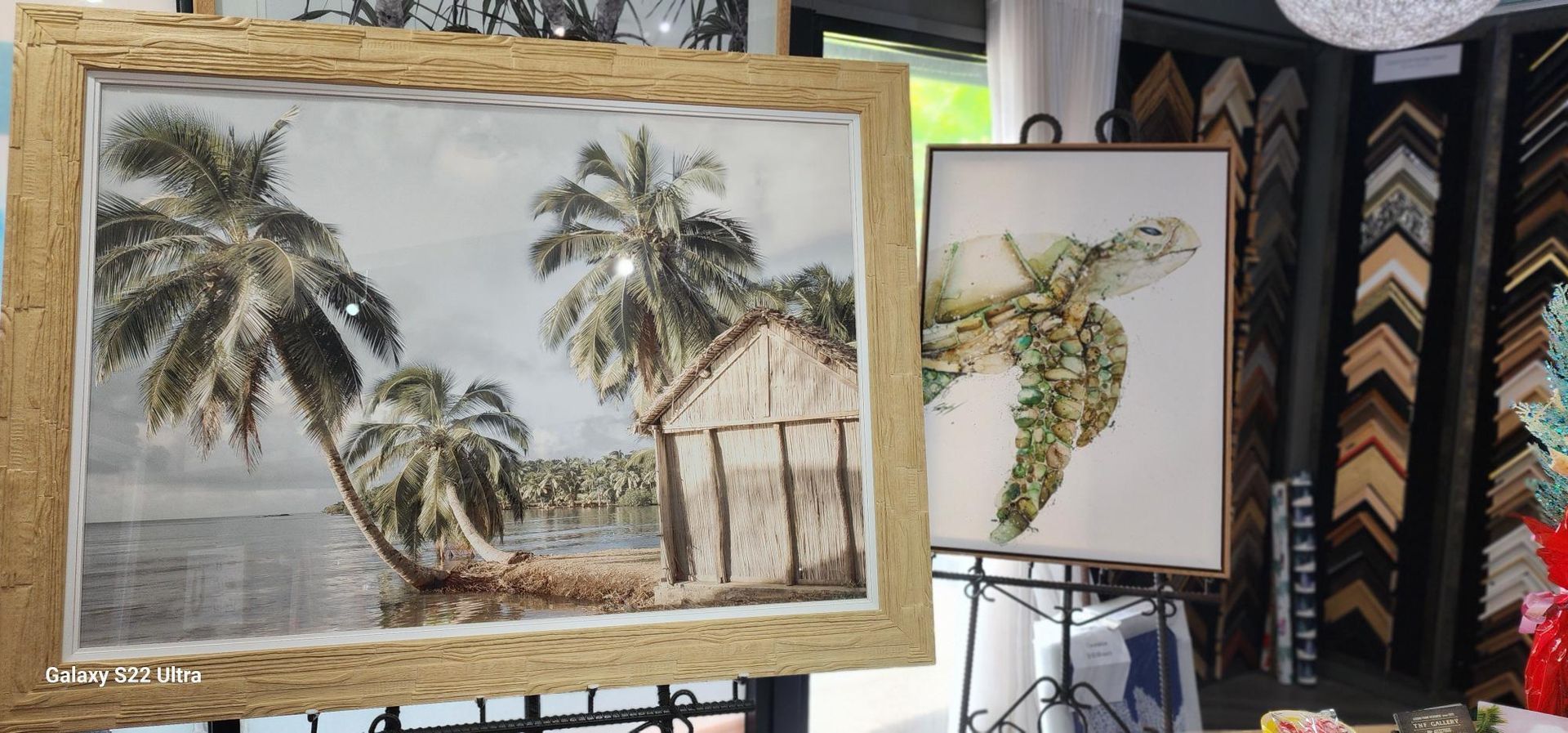 Picture of a turtle and a home with trees around it — Tropical North Framing Gallery Cairns in Cairns, QLD