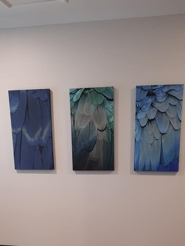 Three Vertical Canvases With Close-up of Blue Bird Feathers — Tropical North Framing Gallery Cairns in Bungalow, QLD