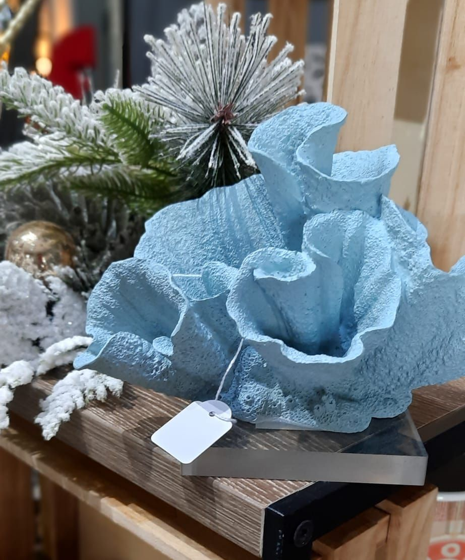 Light Blue Coral Sculpture Displayed on a Wooden Base — Tropical North Framing Gallery Cairns in Cairns, QLD