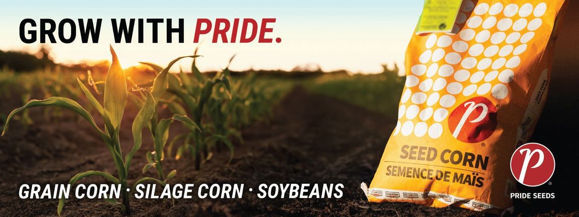 BOARDVIEW ADVERTISING - RINK BOARD ADVERTISING - PRIDE SEEDS - GALE DESIGN GROUP INC.