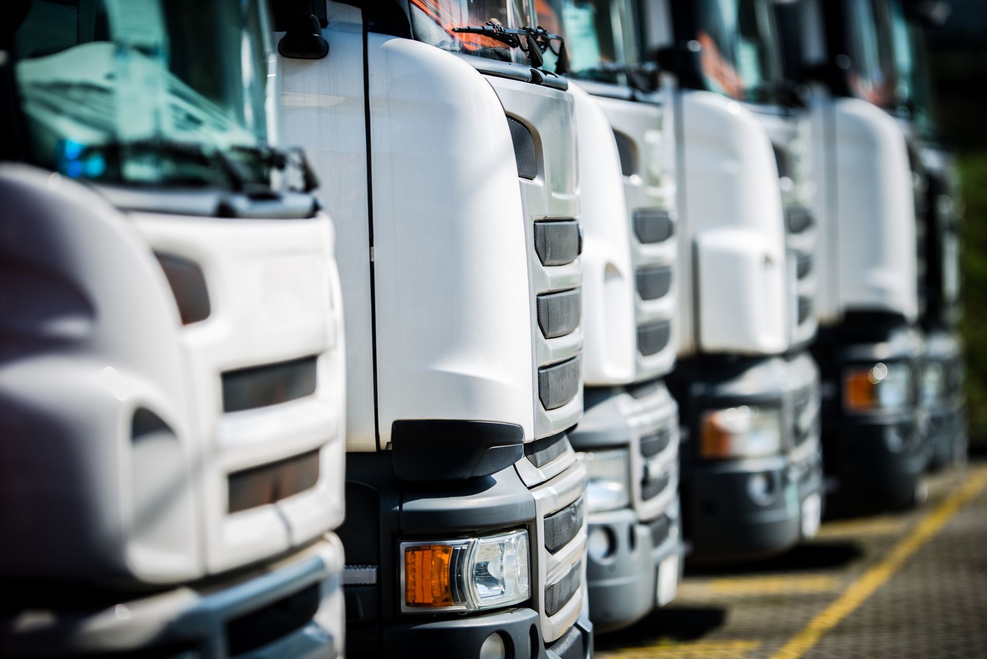A line of white semi-trucks parked outdoors, partially visible, in daylight.