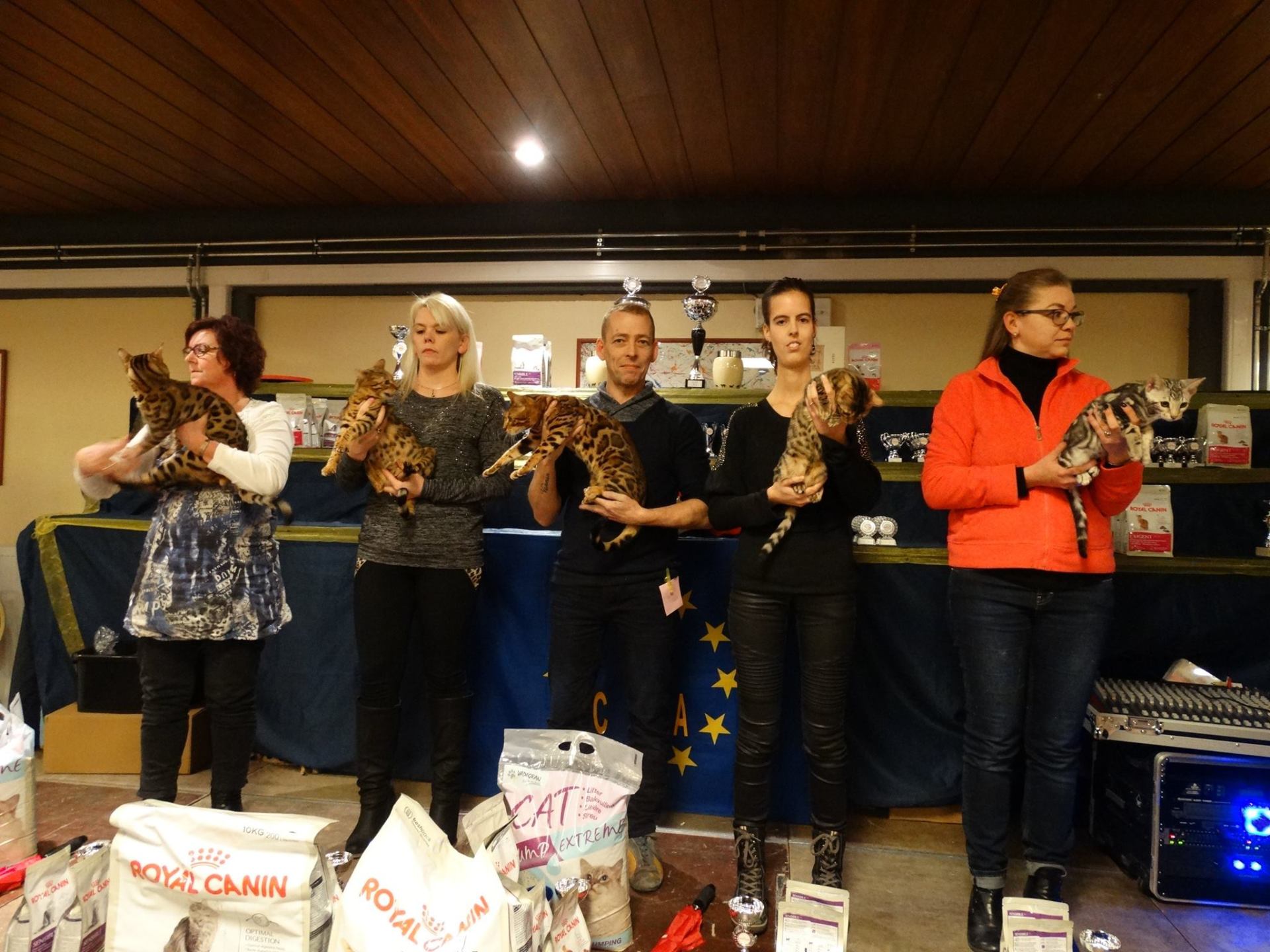 cattery one in a million - kattenshow, showen