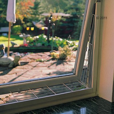 Cattery One in a Million