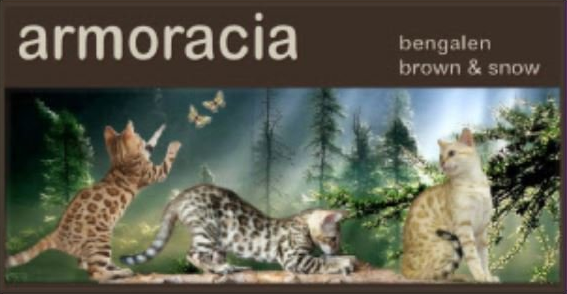 cattery Armoracia