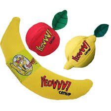 cattery one in a million - benodigdheden