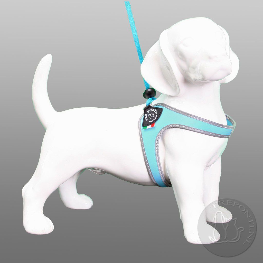 Cattery One in a Million - treponti kattentuig