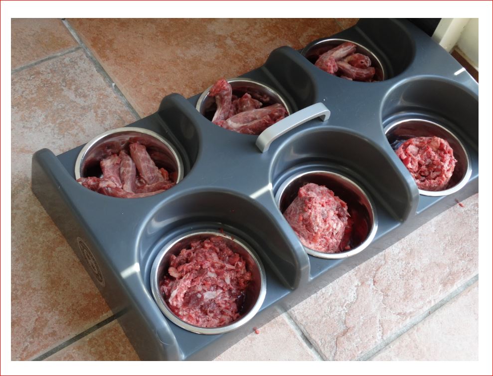 cattery one in a million - Kvv, rauwvoer katten