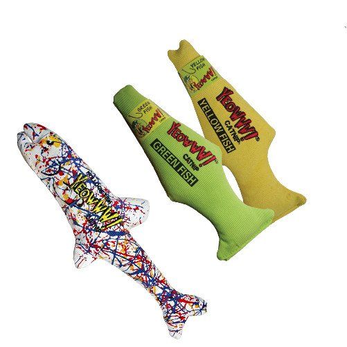 cattery one in a million - benodigdheden