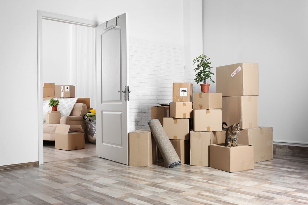 A Room With a Lot of Cardboard Boxes Stacked on Top of Each Other — Bellarine Removals In Bendigo, VIC