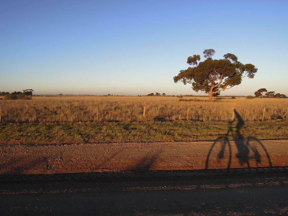 A Shadow of a Person Riding a Bike on a Dirt Road — Bellarine Removals In Melton, VIC