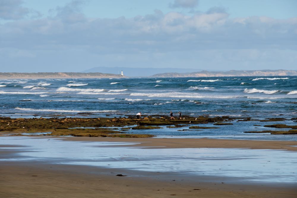 A Beach With a Large Body of Water in the Background — Bellarine Removals In Ocean Grove, VIC