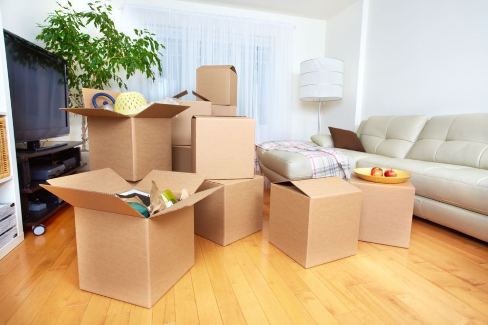 A Living Room Filled With Cardboard Boxes and a Couch — Bellarine Removals In Surf Coast, VIC