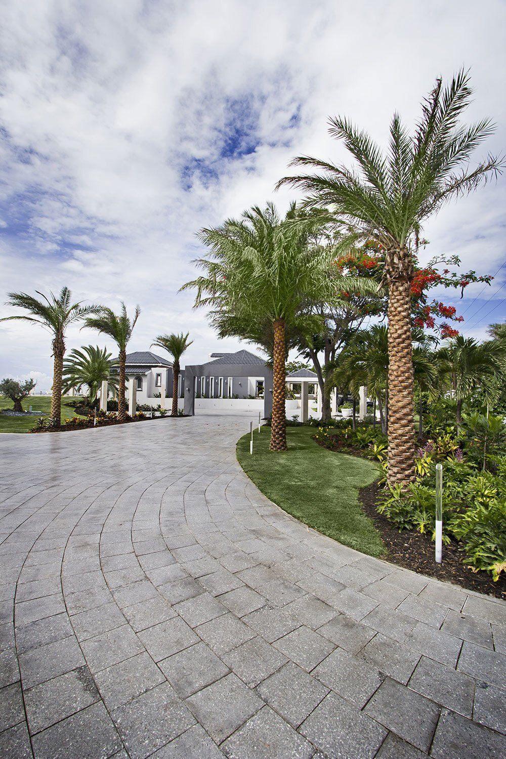 A driveway leading to a house surrounded by palm trees.