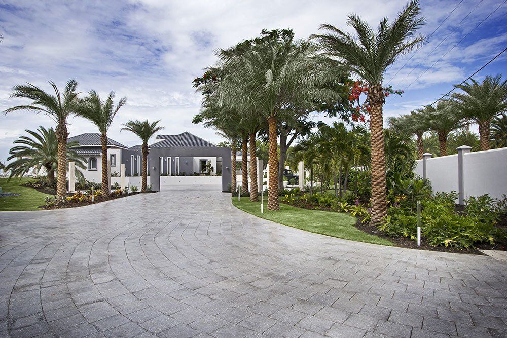 A driveway leading to a house surrounded by palm trees