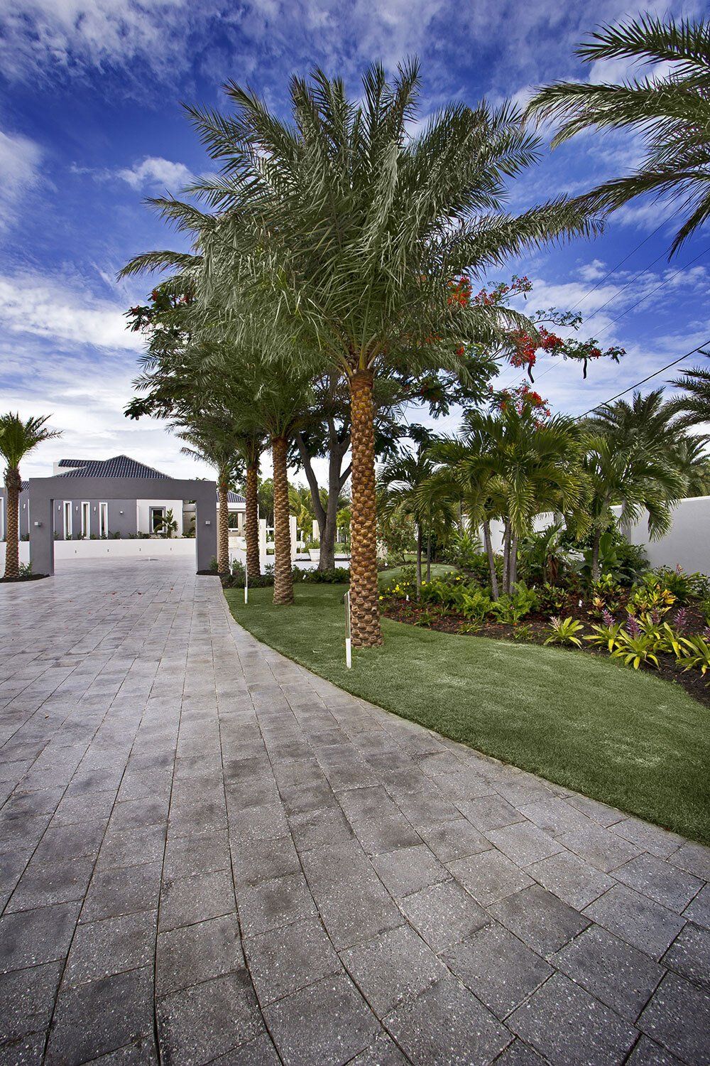 A driveway with palm trees and a house in the background
