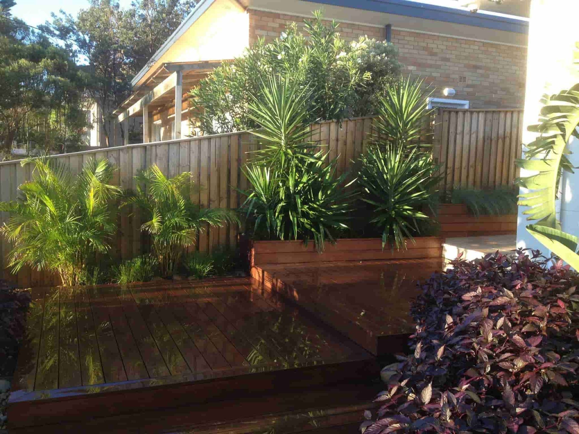 Garden In-Front of the Building — Divine Landscape Creations in Terrigal, NSW