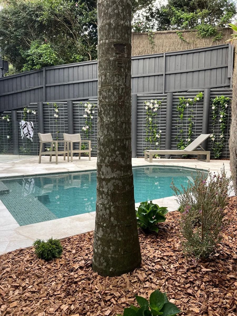 a Pool With a Dark Fence, Loungers, Chairs, and Climbing Plants — Divine Landscape Creations in Berkeley Vale, NSW