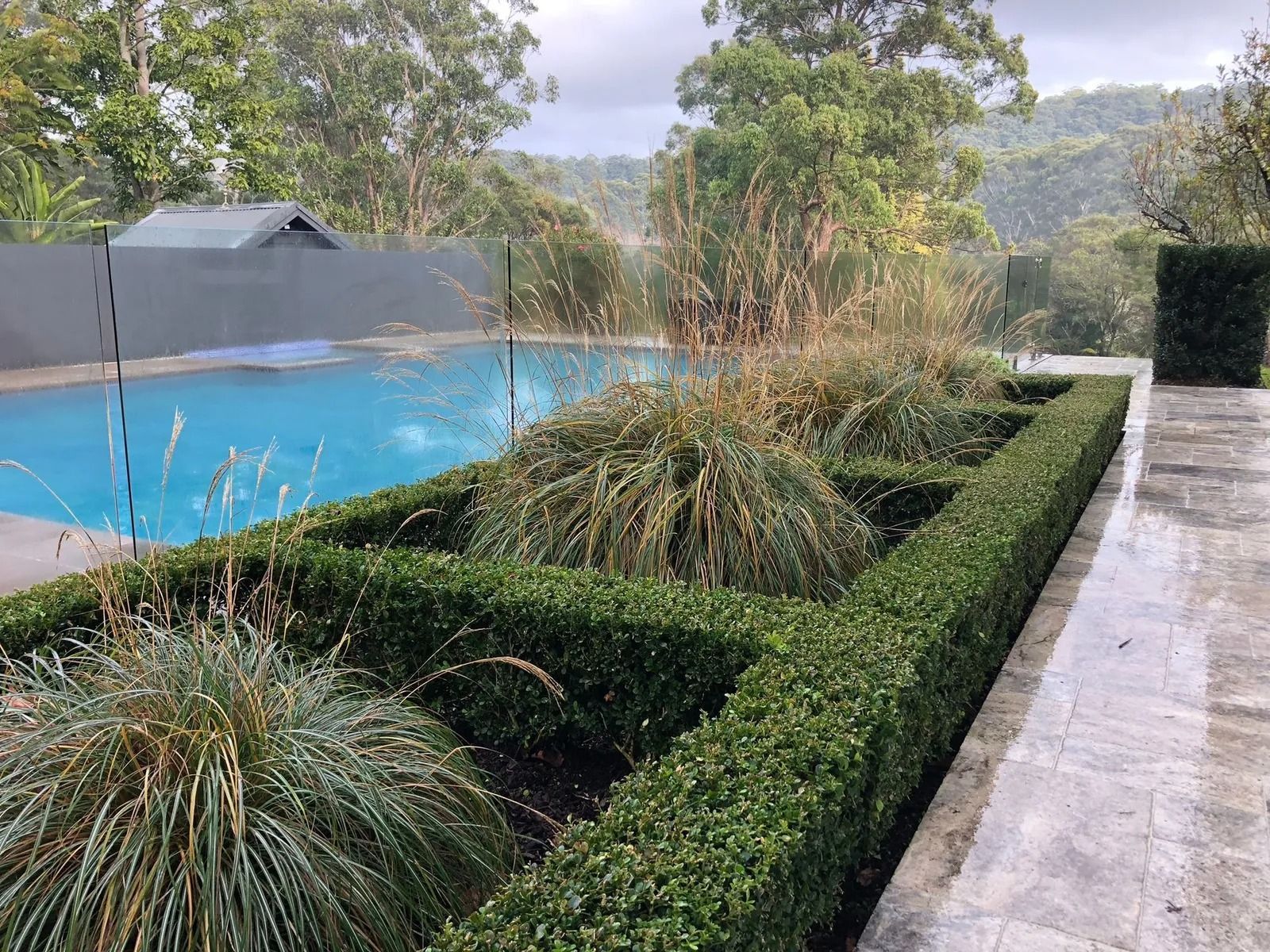 Poolside Garden With Rectangular Hedges — Divine Landscape Creations in Berkeley Vale, NSW