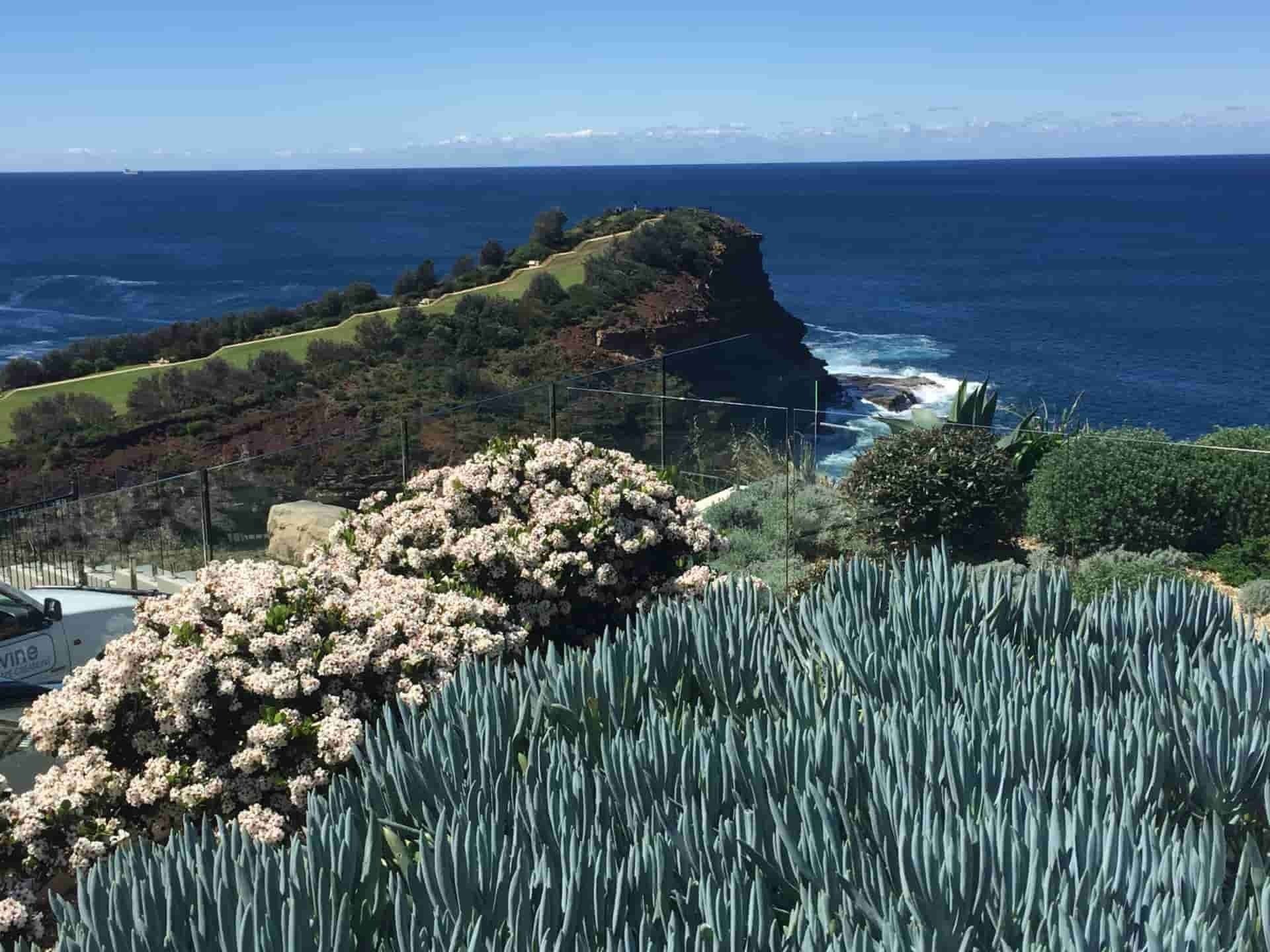 Coastal Landscape With Ocean — Divine Landscape Creations in Woy Woy, NSW
