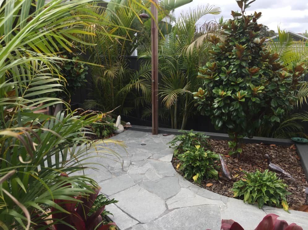 Stone Pathway Curves Through Lush Garden With Various Green Plants — Divine Landscape Creations in Berkeley Vale, NSW