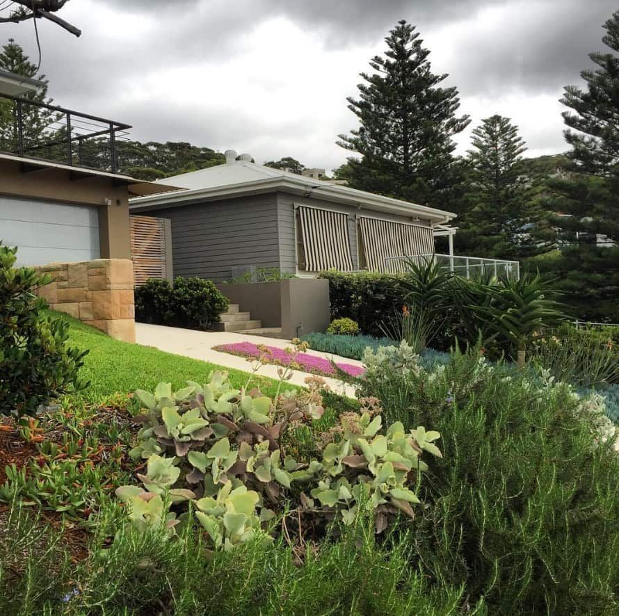 Landscaped Yard With Low-lying Plants — Divine Landscape Creations in Erina, NSW