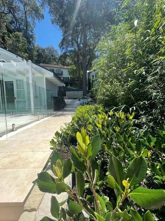 Path With Lush Green Bushes Beside a Modern Building — Divine Landscape Creations in Berkeley Vale, NSW