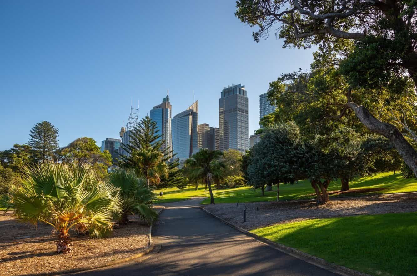 Pathway Through Park With City Skyline in the Background — Divine Landscape Creations in Woy Woy, NSW