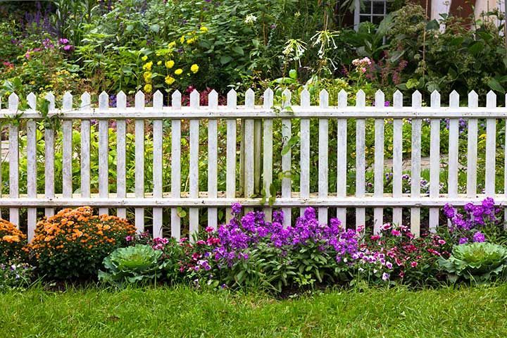 White picket fence surrounded by garden flowers in yard 
