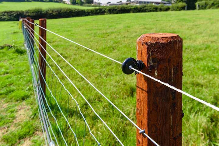 Electric fence wire running along a fence in the middle of a field.
