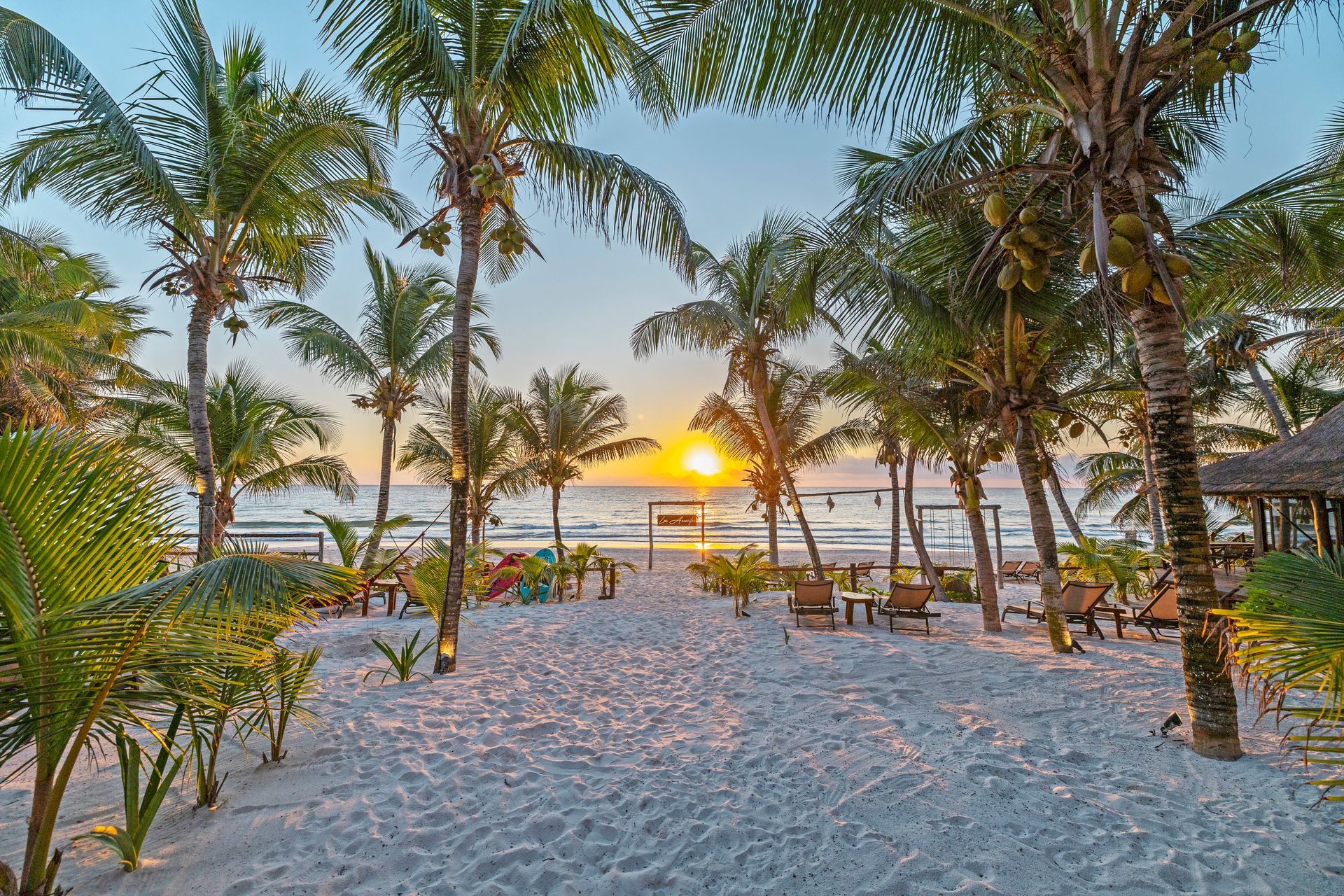 Beach at sunset with palm trees, white sand, and water.