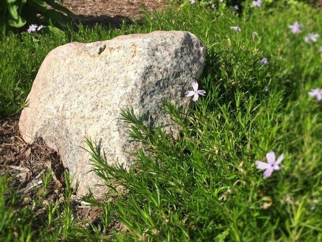 stone in garden