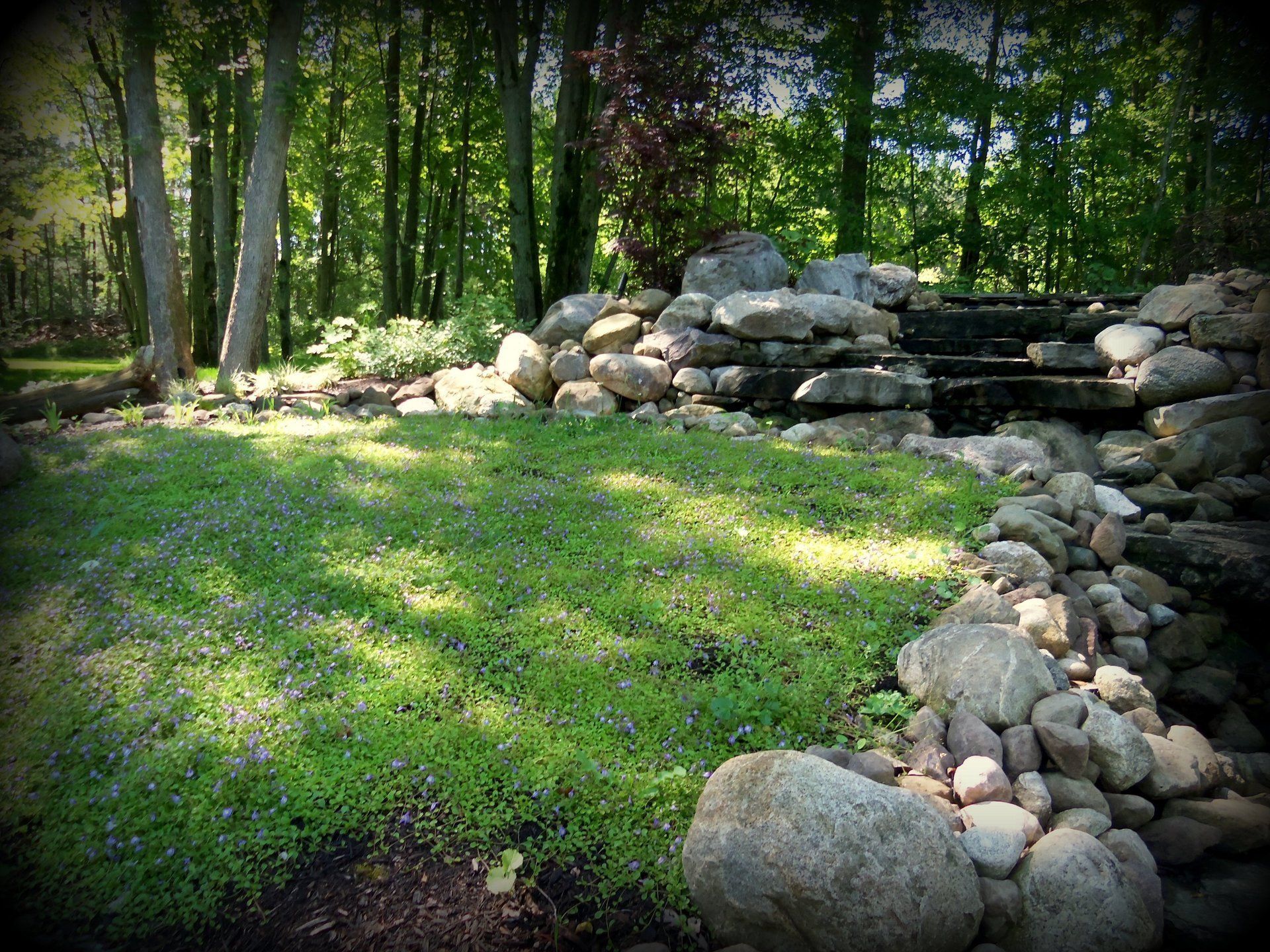 stones around landscape