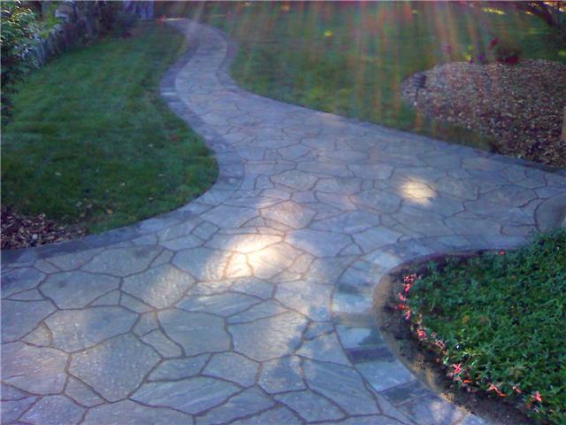 pathway in garden 2