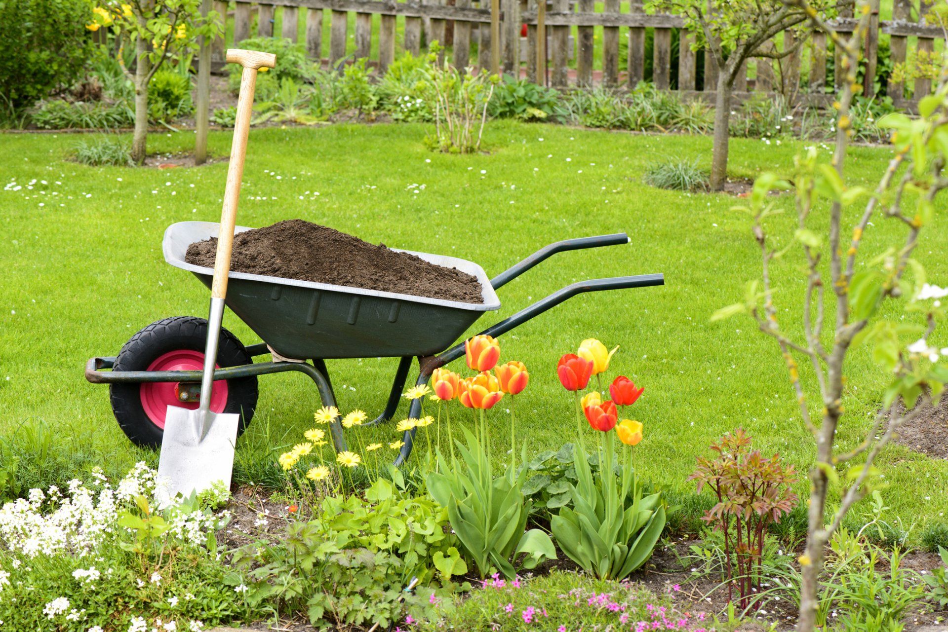 garden with gardening tools and shovel
