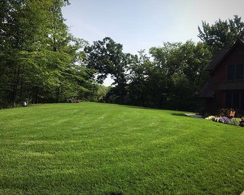 lawn