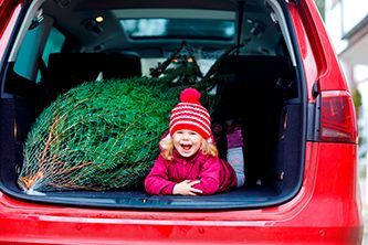 Christmas tree buying_car boot