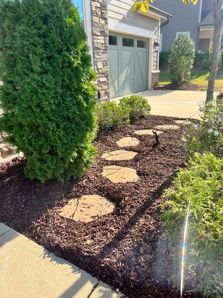 Stepping stones set into dark mulch lead toward a light green garage door next to a large evergreen shrub.