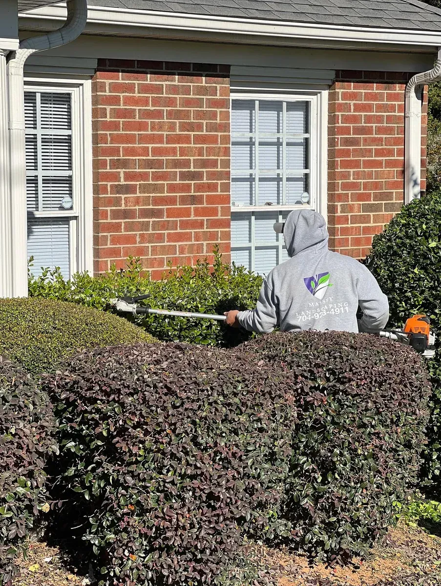 A person in a gray hooded sweatshirt trims a large hedge in front of a red brick house with white-framed windows.