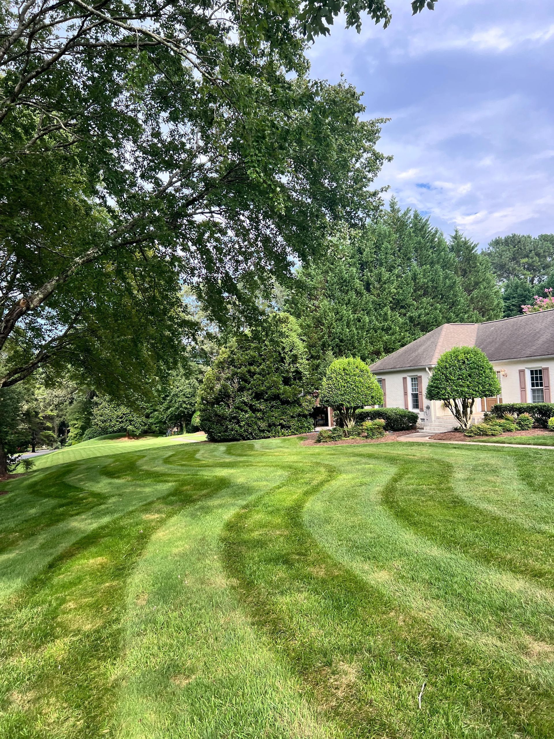 A green lawn with curved, freshly mowed grass stripes in front of a house partially shaded by large trees.