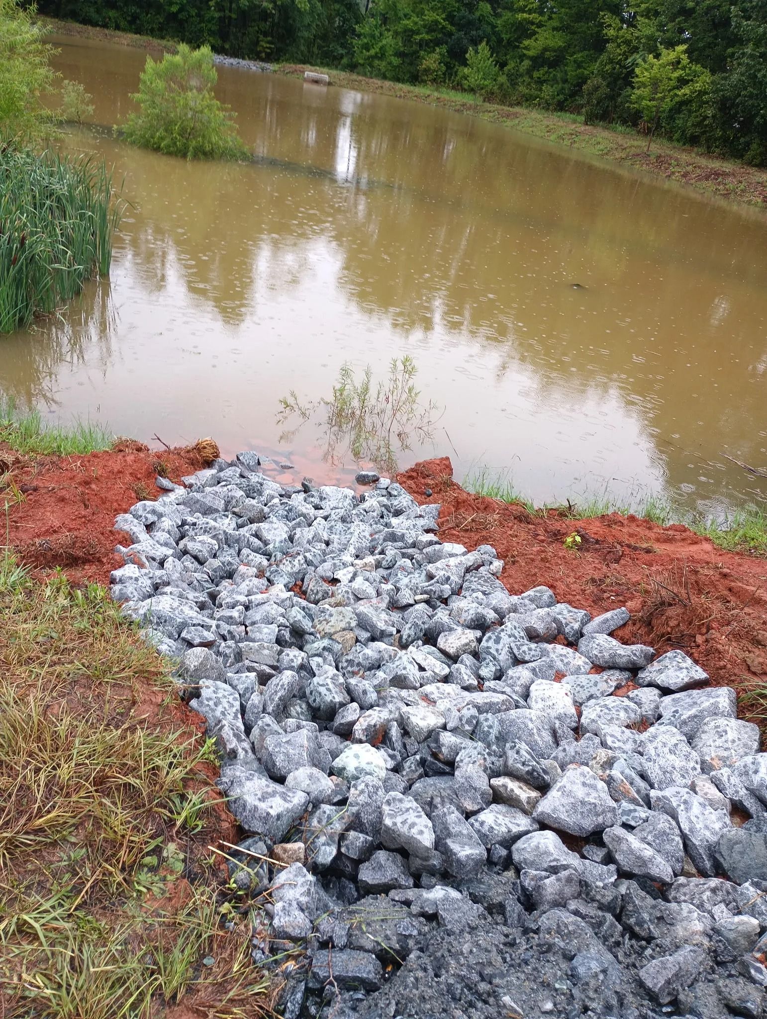 A rocky drainage channel leads toward a muddy pond surrounded by trees.