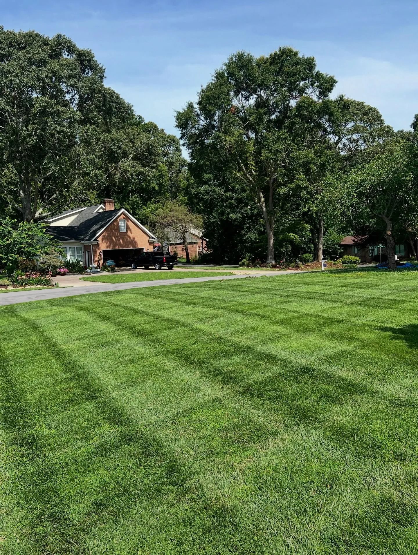 Freshly mowed lawn with prominent striping patterns leading toward houses surrounded by mature green trees under a blue sky.
