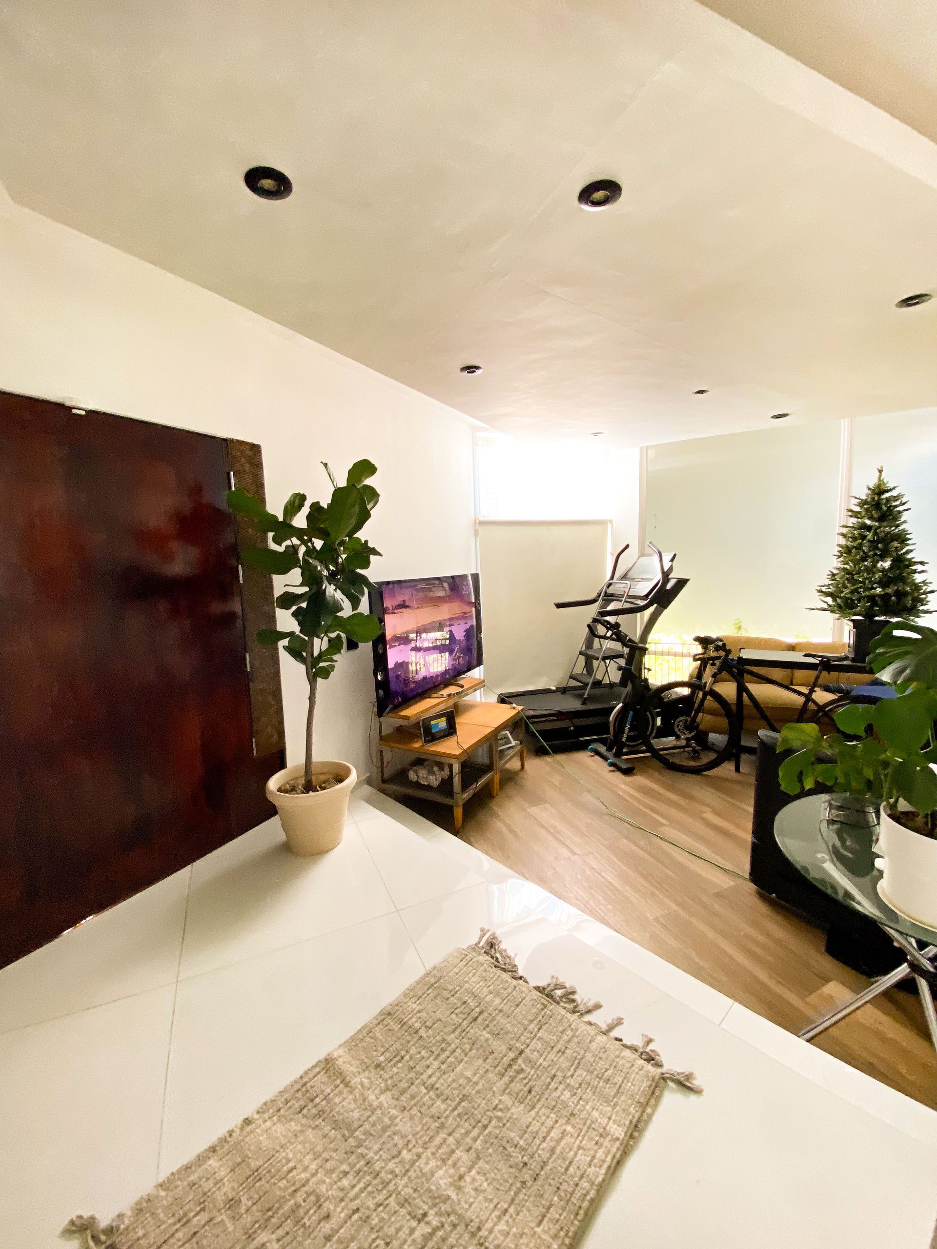 A living room with a christmas tree and a treadmill.